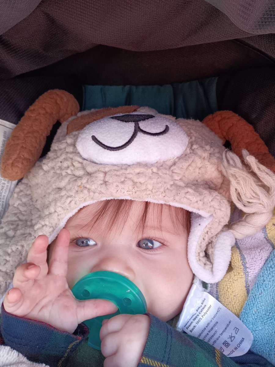 deesao13's tweet photo. How’d I get so lucky? ♥️🥰 https://t.co/osLbliwBJk