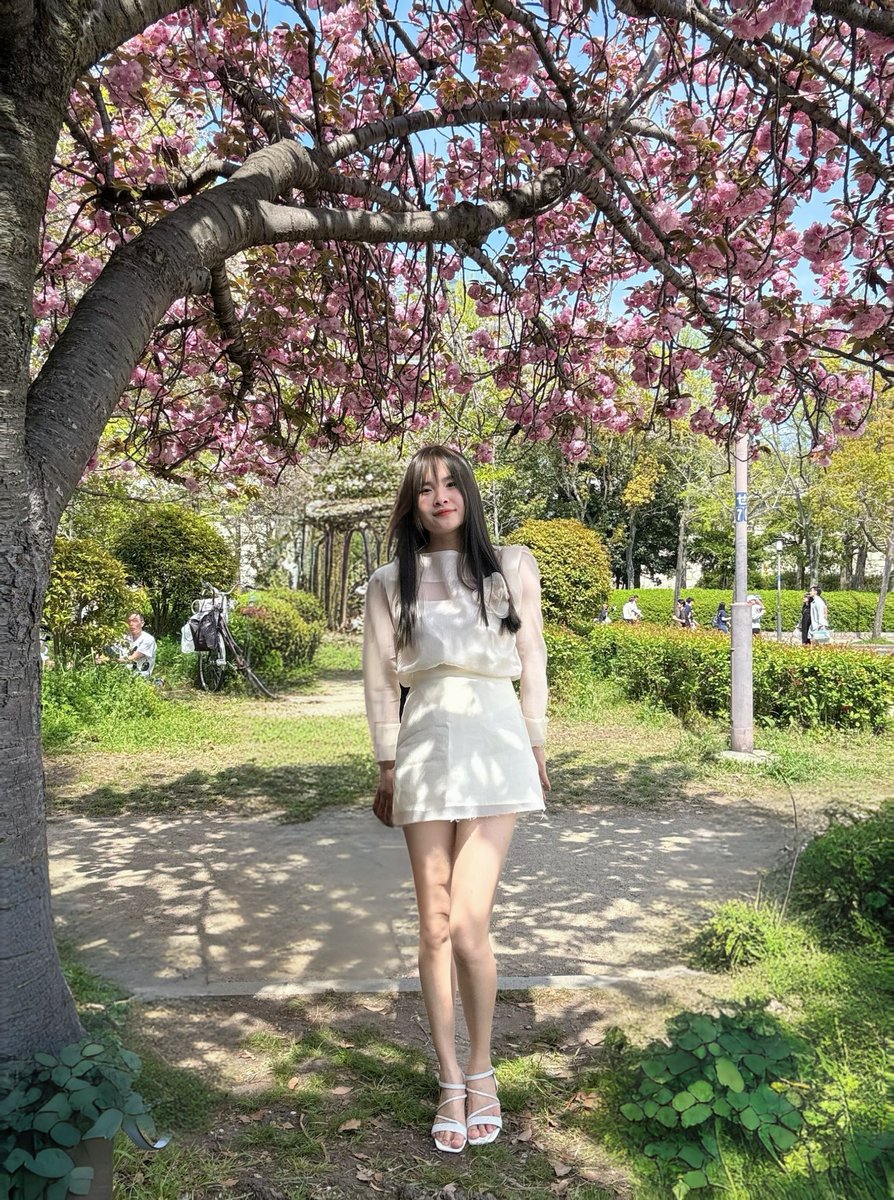 Cô gái bên vườn hoa anh đào 😘😘😘😘