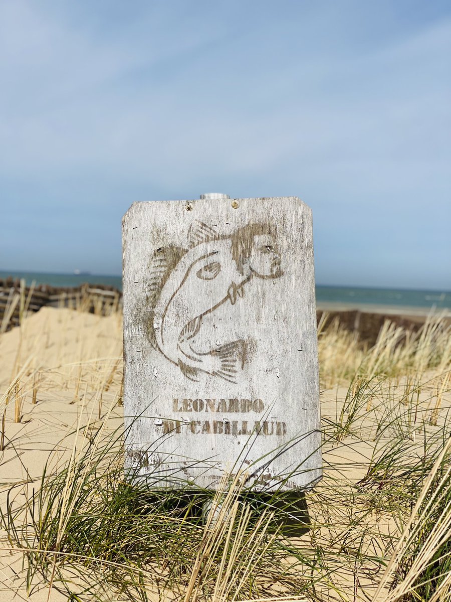 Blériot plage et ses surprises artistiques …
#cotedopale