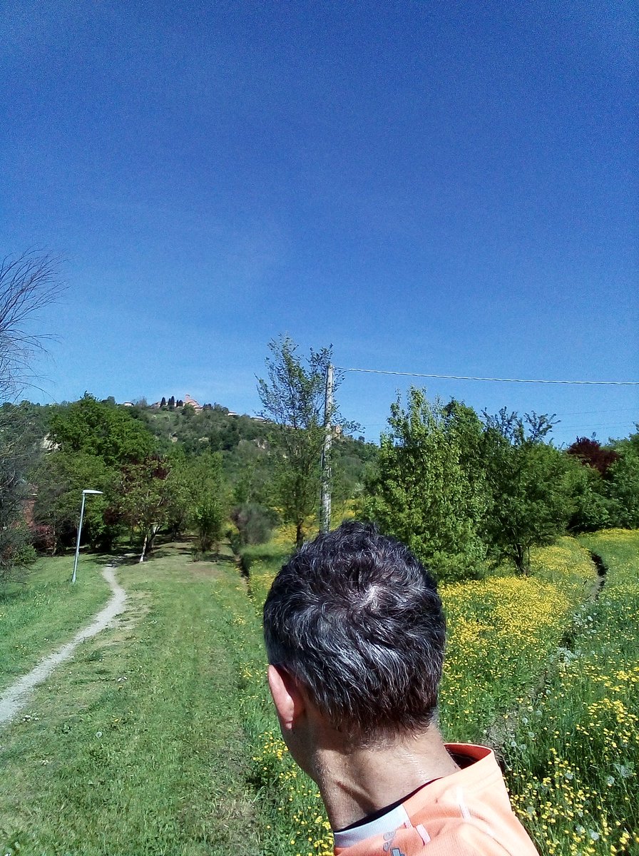 Buona domenica di primavera #iocorroqui 13km per sciogliere gambe e muscoli tra le colline in fiore,sotto il sole..tante belle sensazioni positive #runlovers