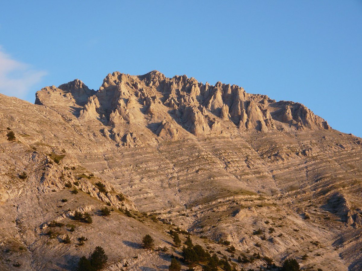 Timo Epping tweet media