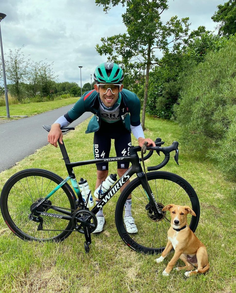 Content for @cyclistsanddogs of Ben Zwiehoff And challenging @MontVentoux23: Bark-Hansgrohe 🐶