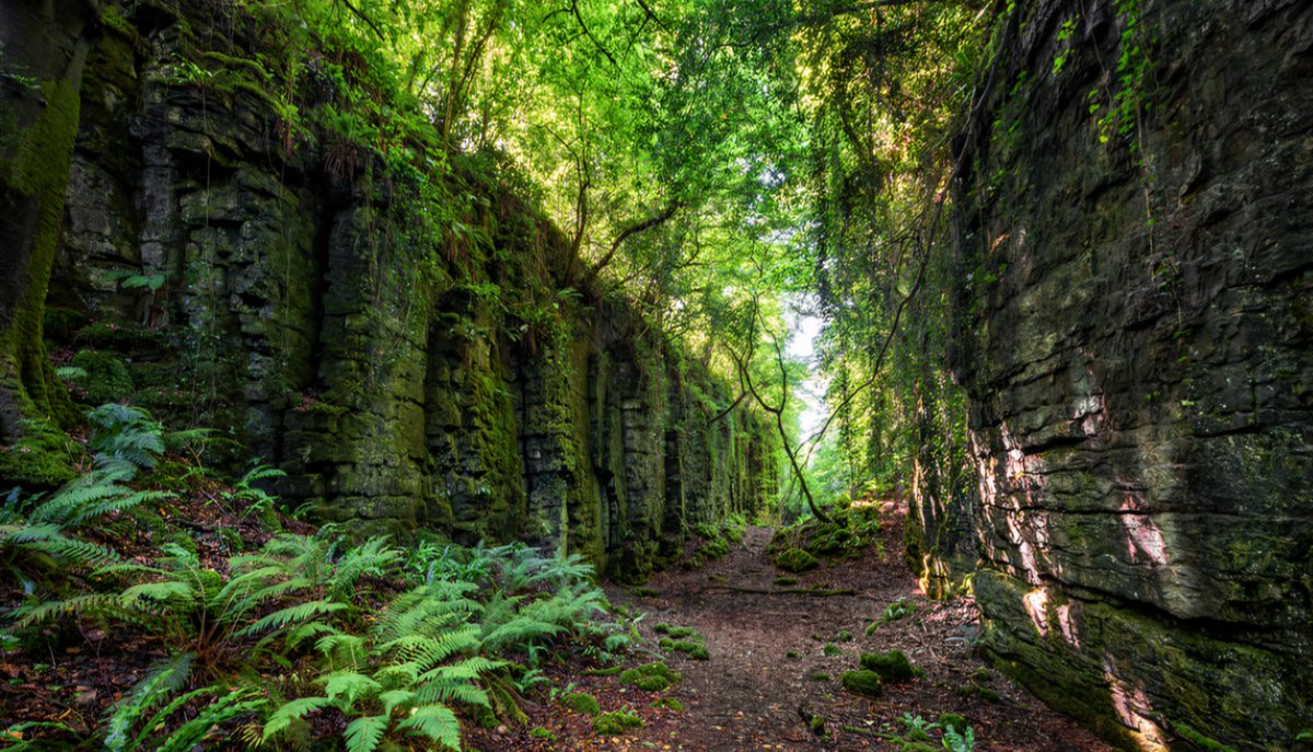 The Fairy Glen, at the foot of Knocknarea, Sligo. That is the actual name of the glen. A beautiful place. #ire #FolkloreSunday