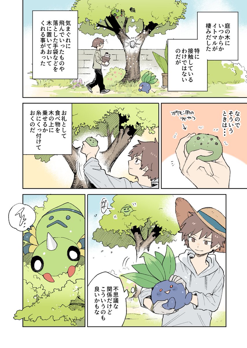 クモの糸
(ナゾノクサやリーフィアの漫画と同じ人物・庭設定) 