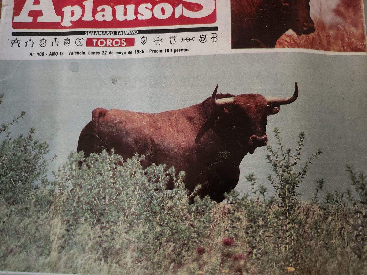 ¿Os acordáis de este toro?
#aplausos #recuerdos #años80