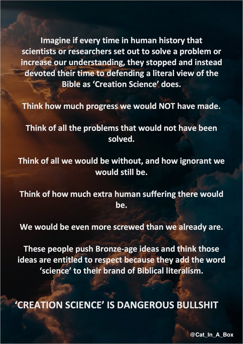 Cat In A Box tweet media