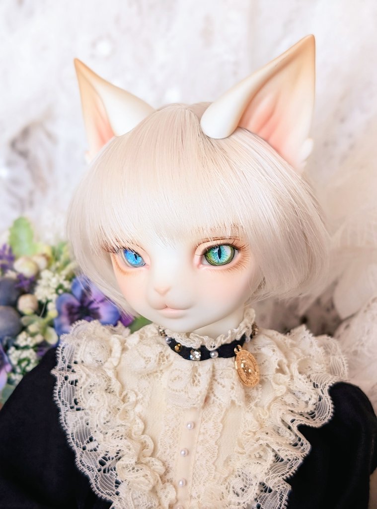 chaton_queue18's tweet image. かわいい‥🩷