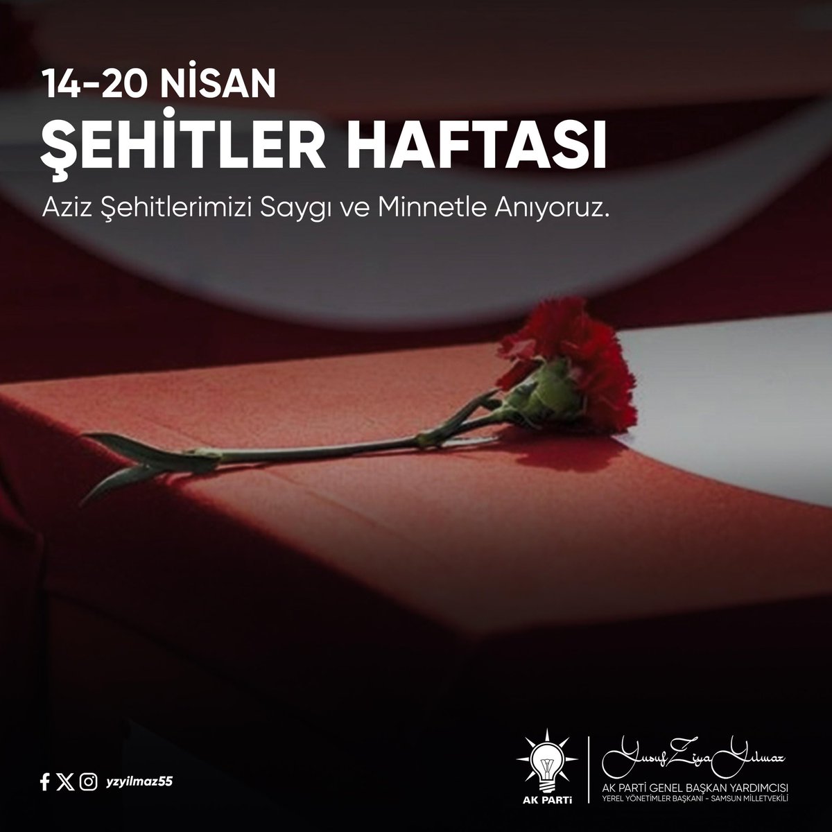 “Ey, bu topraklar için toprağa düşmüş, asker! Gökten ecdâd inerek öpse o pâk alnı değer. Ne büyüksün ki kanın kurtarıyor Tevhîd’i... Bedr’in arslanları ancak, bu kadar şanlı idi... Sana dar gelmeyecek makberi kimler kazsın? “Gömelim gel seni târîhe” desem, sığmazsın”…