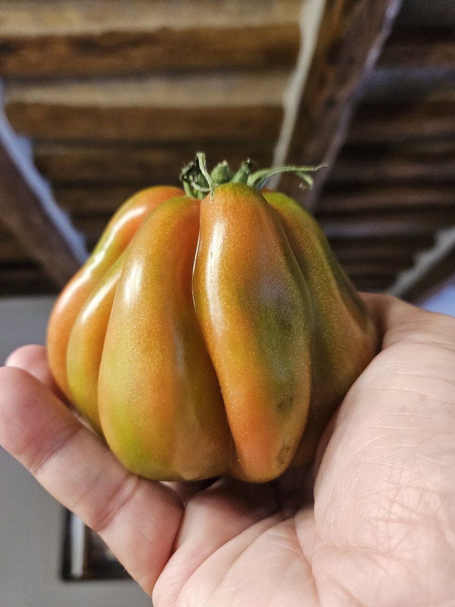 Delicious Italian tomatoes... #Italian #Italy #travel #Foodie #FoodieBeauty