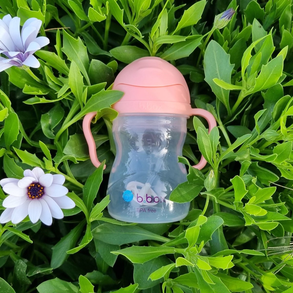 Did you know that we have the l8r.it/Tpr6 award-winning Sippy Cup available in TWENTY different colours?

So you can find the perfect match for your little one!

👉️ Shop the full range over at l8r.it/10QT

#shopmoodles #bboxuk #sippycup #toddler #baby