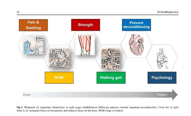 6 key ingredients to early post op ACLR management 🔑

Was honoured to be asked to contribute to this important ACL paper lead by the amazing @m_buckthorpe

If you'd like to read this paper (plus 9 others), head to the Free ACL Papers link 👇
learn.physio/p/10-free-acl-…