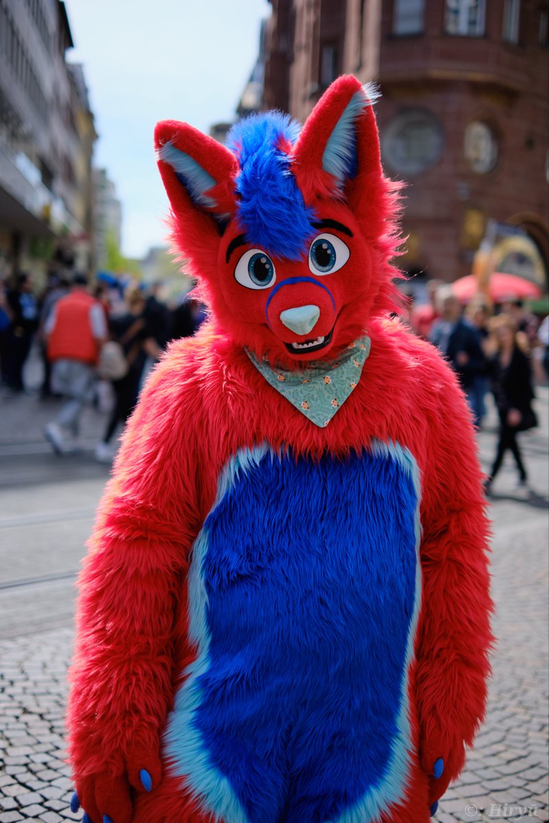 Yesterday’s suitwalk in Karlsruhe was awesome as always 🦊❤️💙 📸 @HiryuTheDragon 🪡 @whitewingsuits