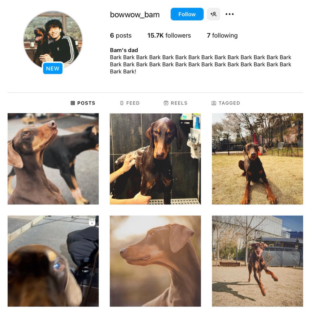 Jungkook__INDIA's tweet photo. Bam’s dad on instagram?? Did Jungkook finally open an insta account for Bam?? 😭💖

Well not 100% confirmed. https://t.co/gYdacTpET1