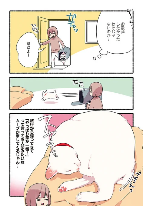 ミコさんが家に来て初めての春の思い出の話
(3/3)
#漫画が読めるハッシュタグ
#愛されたがりの白猫ミコさん 