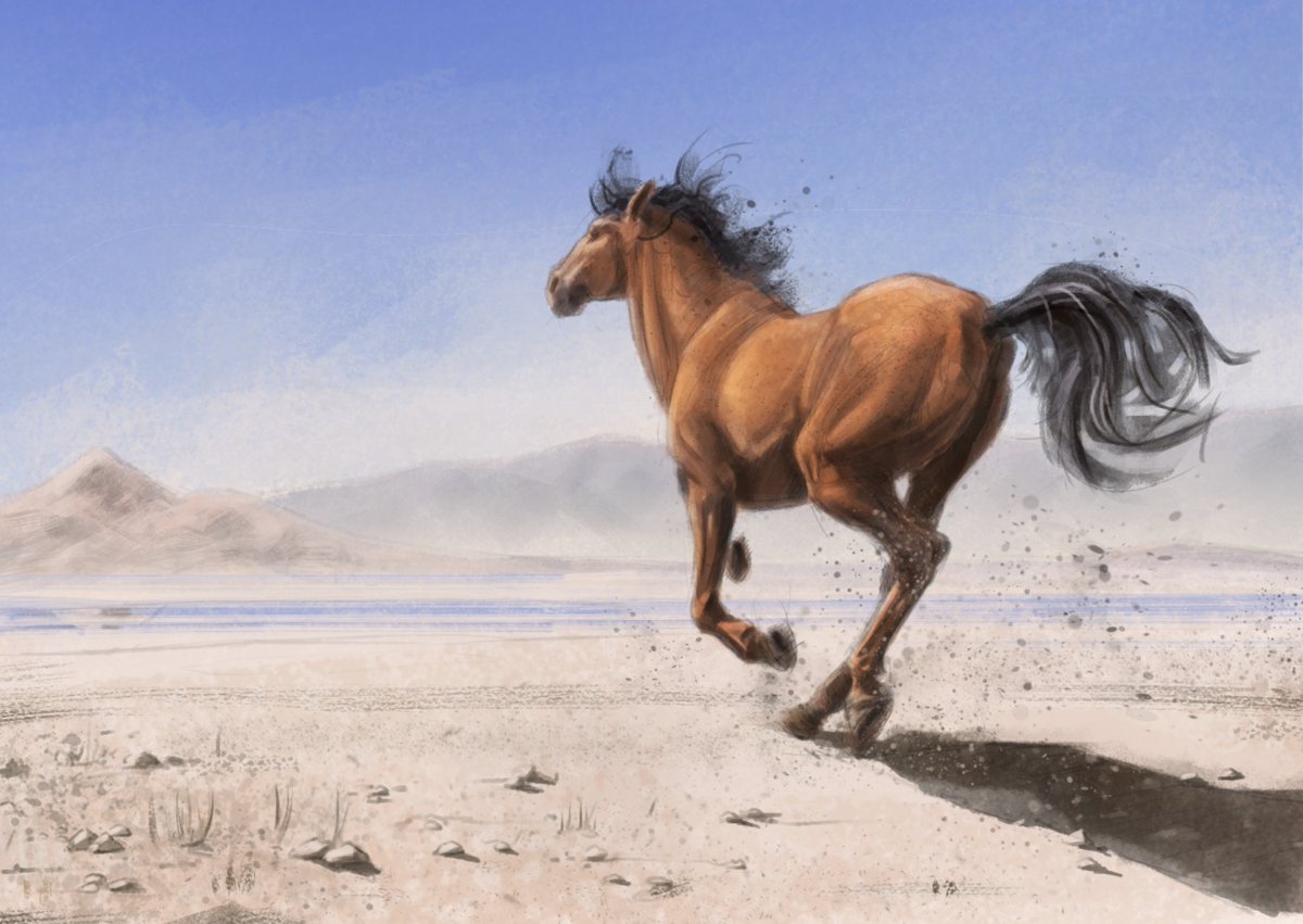 Another #illustration for the horse-desert story. #art #horse #humanartist