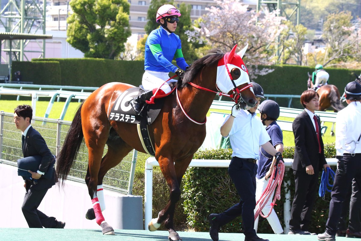 deka7351's tweet image. 4/14(日)阪神9R 三木特別
テラステラ 池添騎手 

意外にも出資馬池添騎手は初です😲

#テラステラ