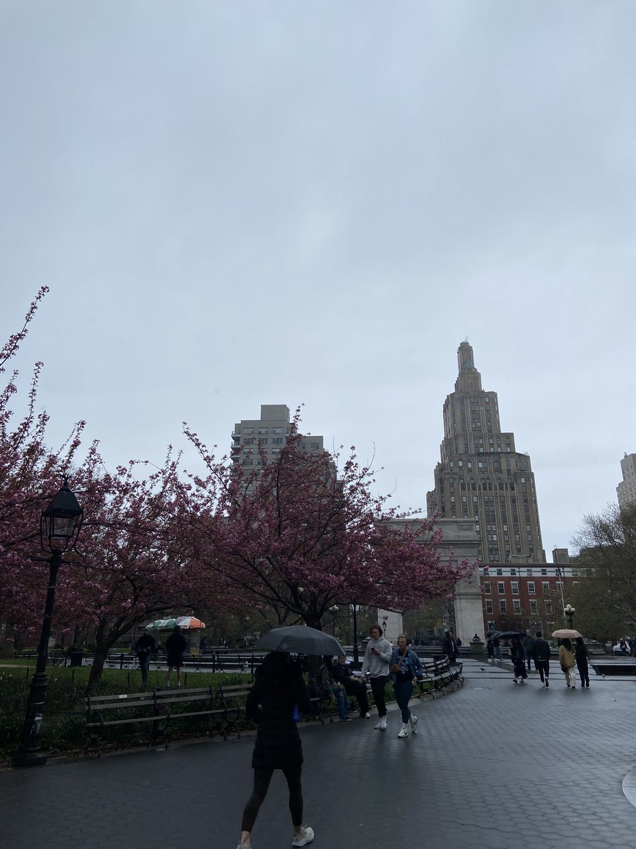 LRutherfordRS's tweet photo. NYU campus yesterday. Very different vibe than Columbia but the cluster of buildings around Washington Square Park means everything is close at hand; great blend of campus and city. Still not the best weather! https://t.co/9fkeVouXIz