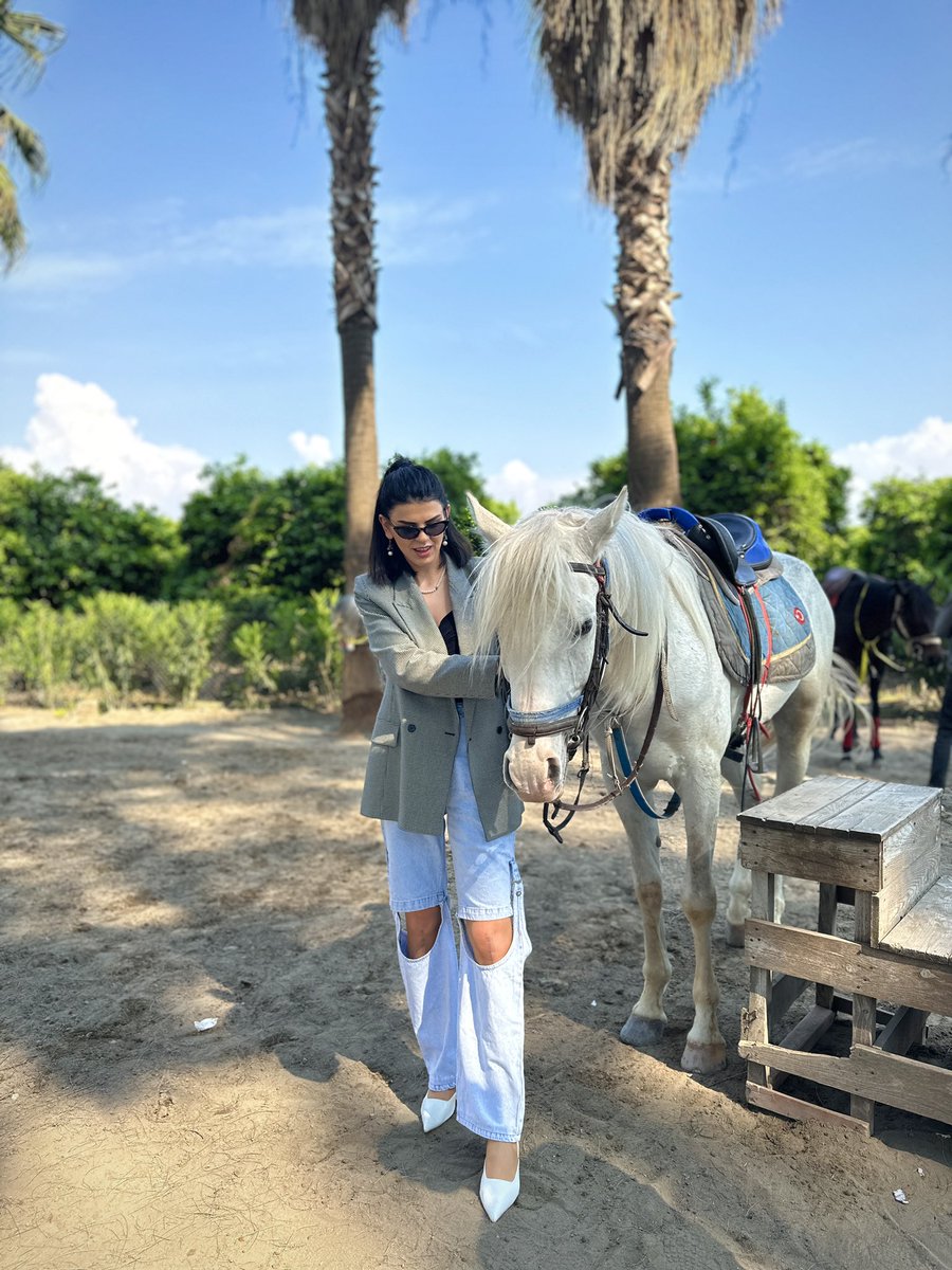 Beyaz atımm tamamda prensi nerde?