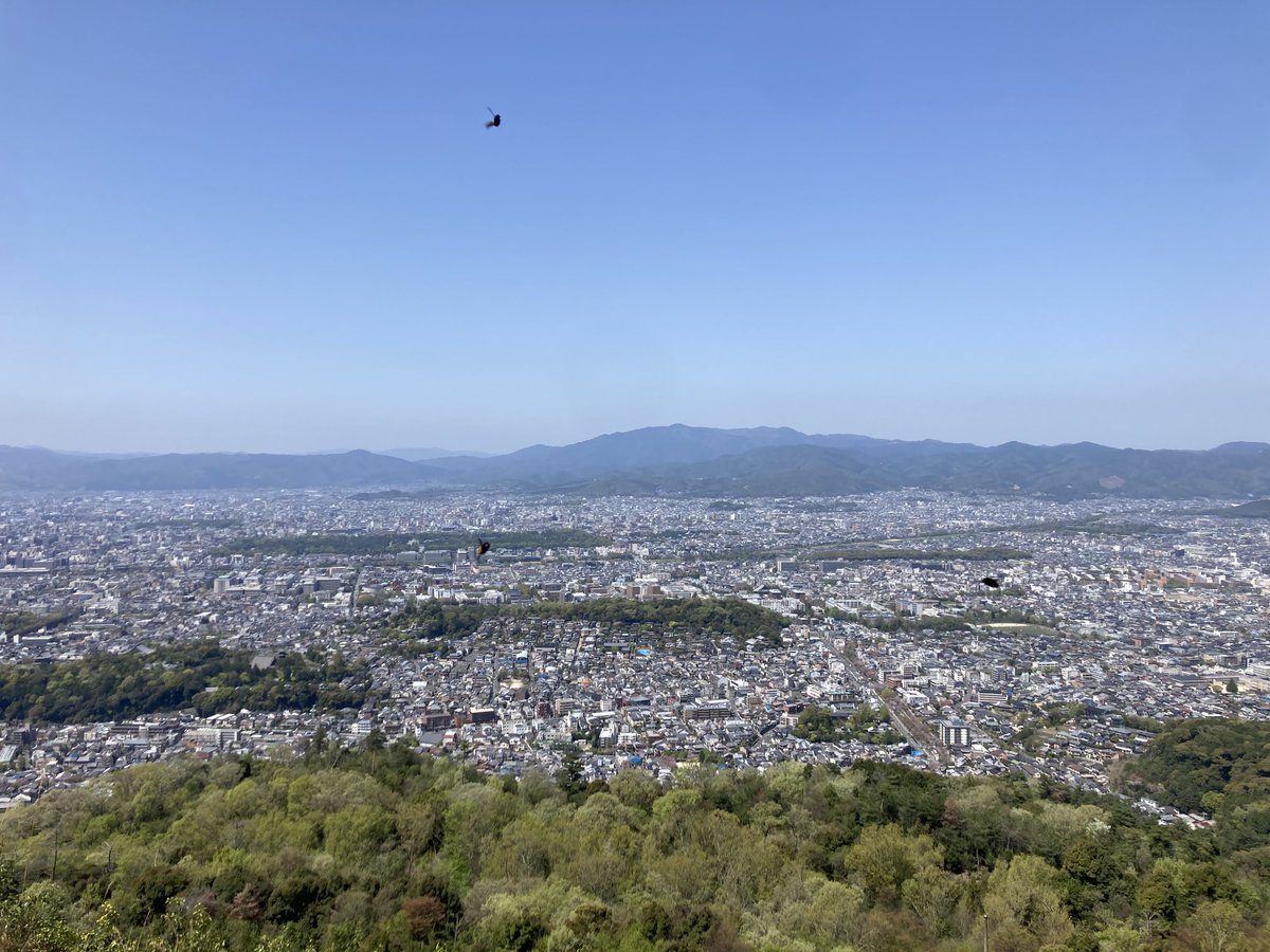 Kashimacom's tweet photo. 大文字山から京都市内を望む https://t.co/Odzv3eIm0t