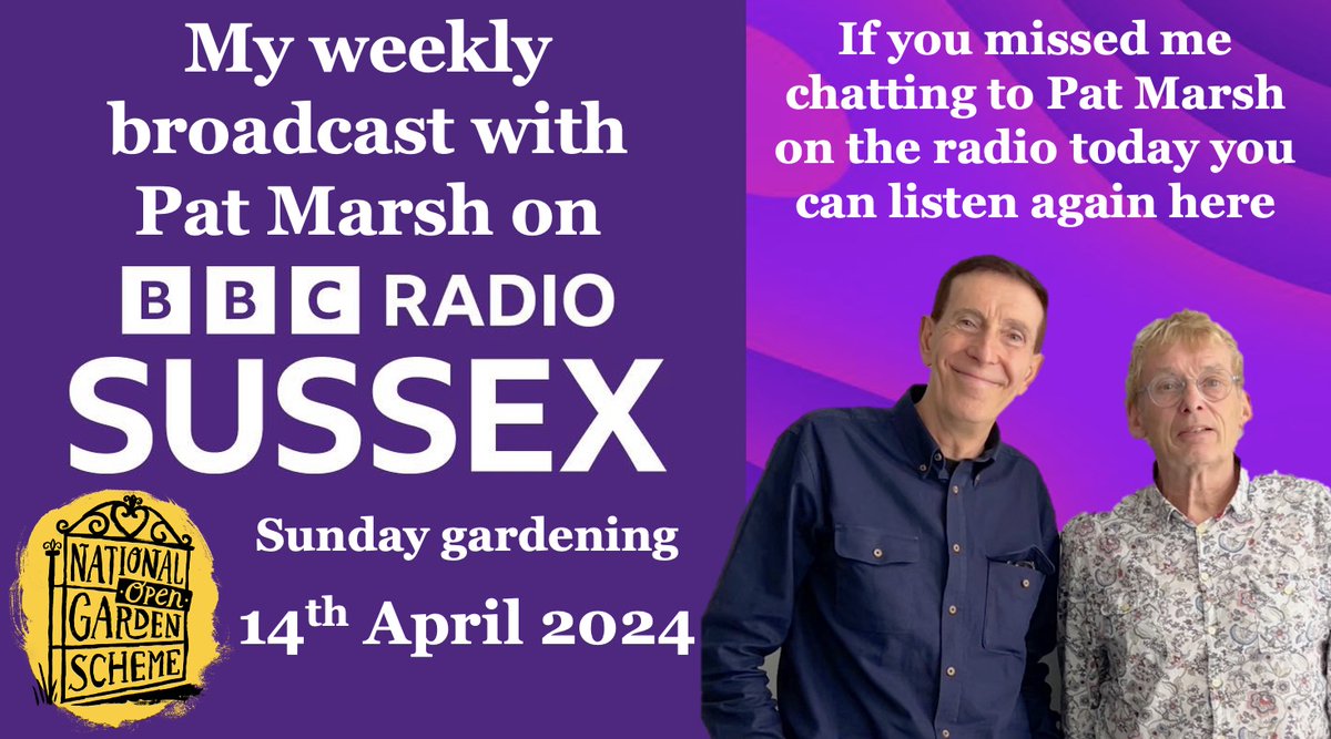 If you missed the first of our weekly sessions on @BBCSussex you can listen again here geoffstonebanks.co.uk/ngsmedia/radio… @NGSOpenGardens @SussexNGS @SussexWestNGS #sussex #gardening