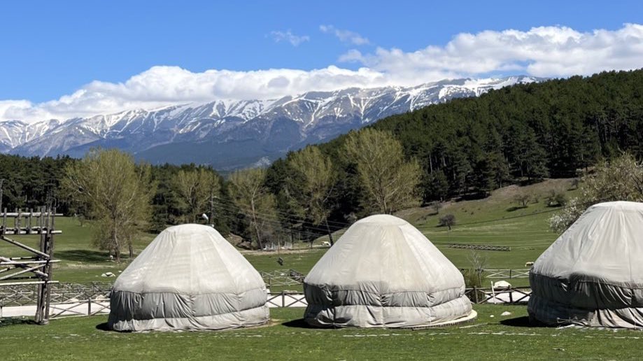 Yaylanın yolundayım balam, gürgenin dalındayım…