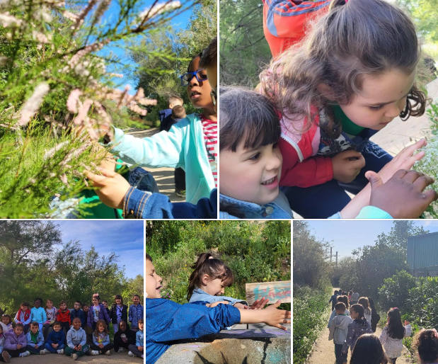 AFA Josep Pla tweet media