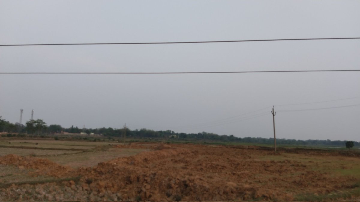 SamajaRaDarpan's tweet photo. ବାରମ୍ବାର ଅଭିଯୋଗ ସତ୍ବେ ଶାଳଣିଆ ସବଷ୍ଟେସନ ଅନ୍ତର୍ଗତ ଜମ୍ଭରା ଶାଳବଣି ଚାଷଜମି ମଝିରେ ୭ଫୁଟ୍ ଉର୍ଧ୍ବରେ ୧୧କେଭି ବିଦ୍ୟୁତ୍ ତାର ଓହଳି ରହିଛି । କିଛି ଅଘଟଣ ହେବା ପୂର୍ବରୁ ତୁରନ୍ତ ପଦକ୍ଷେପ ନେବାକୁ ଅନୁରୋଧ । @tpnodl_balasore https://t.co/0rnIDOER4h