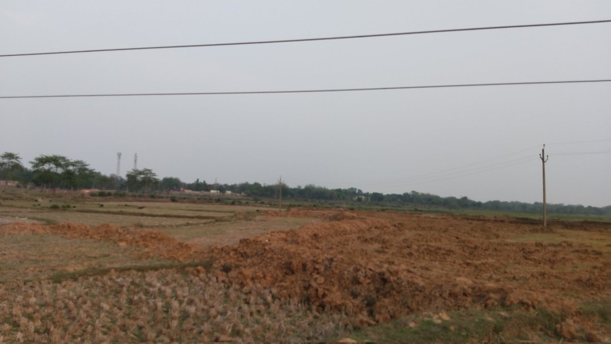 SamajaRaDarpan's tweet photo. ବାରମ୍ବାର ଅଭିଯୋଗ ସତ୍ବେ ଶାଳଣିଆ ସବଷ୍ଟେସନ ଅନ୍ତର୍ଗତ ଜମ୍ଭରା ଶାଳବଣି ଚାଷଜମି ମଝିରେ ୭ଫୁଟ୍ ଉର୍ଧ୍ବରେ ୧୧କେଭି ବିଦ୍ୟୁତ୍ ତାର ଓହଳି ରହିଛି । କିଛି ଅଘଟଣ ହେବା ପୂର୍ବରୁ ତୁରନ୍ତ ପଦକ୍ଷେପ ନେବାକୁ ଅନୁରୋଧ । @tpnodl_balasore https://t.co/0rnIDOER4h