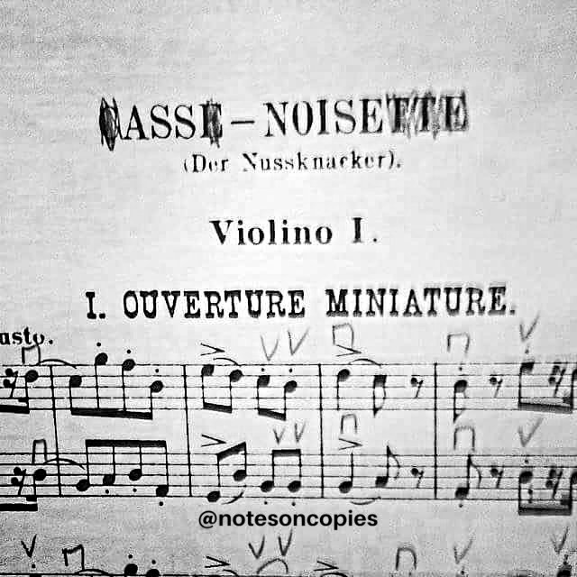 notesoncopies's tweet image. The audience: those violinists are so professional and serious
The violinists: