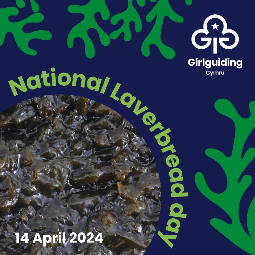 🏴󠁧󠁢󠁷󠁬󠁳󠁿 Happy National Laverbread Day, everyone! 🎉 Today, we're celebrating this delicious Welsh delicacy that's as rich in tradition as it is in flavor. Tell us your favourite ways of enjoying Laverbread below ⬇️🌊 #NationalLaverbreadDay #WelshTraditions #GirlguidingCymru