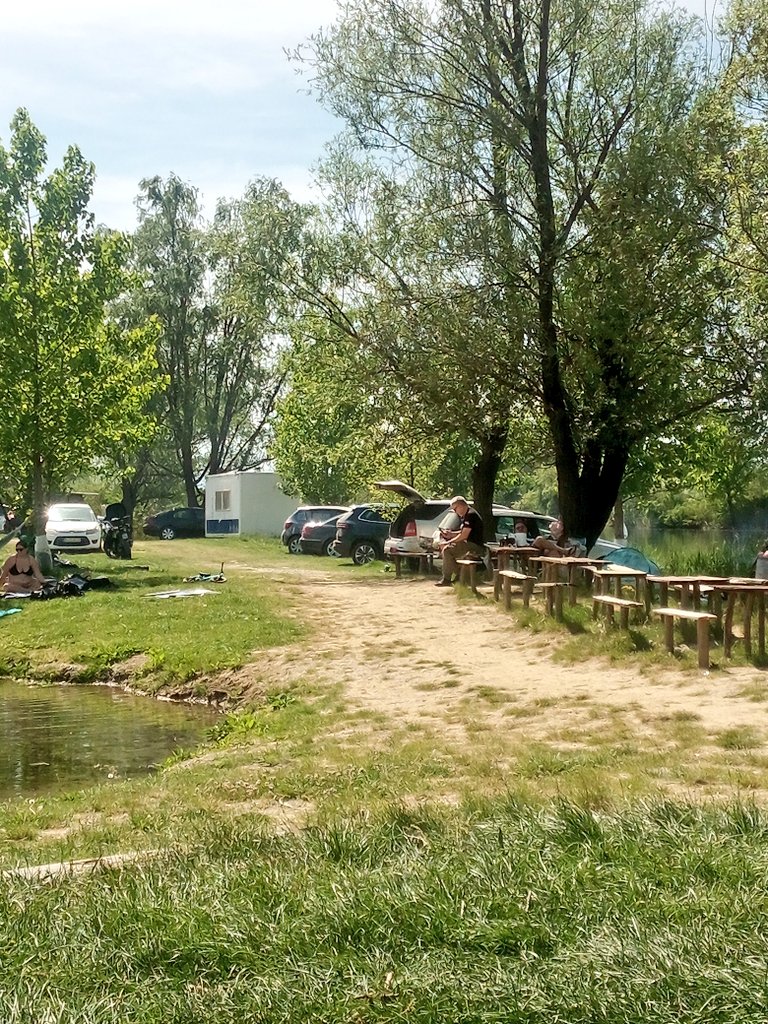 Kvazi ronioci, ali prava govna, više automobila i kilograma roštilja nego što je ljudi... Plus što seeeruuuu kao foke o tome koje su ribe videli, ovde nema! smuđa i štuke, šaranče, som i sitna bela su sve što je ikad bilo. Ali, to je nebitno, bitno je ponoviti da su govna.