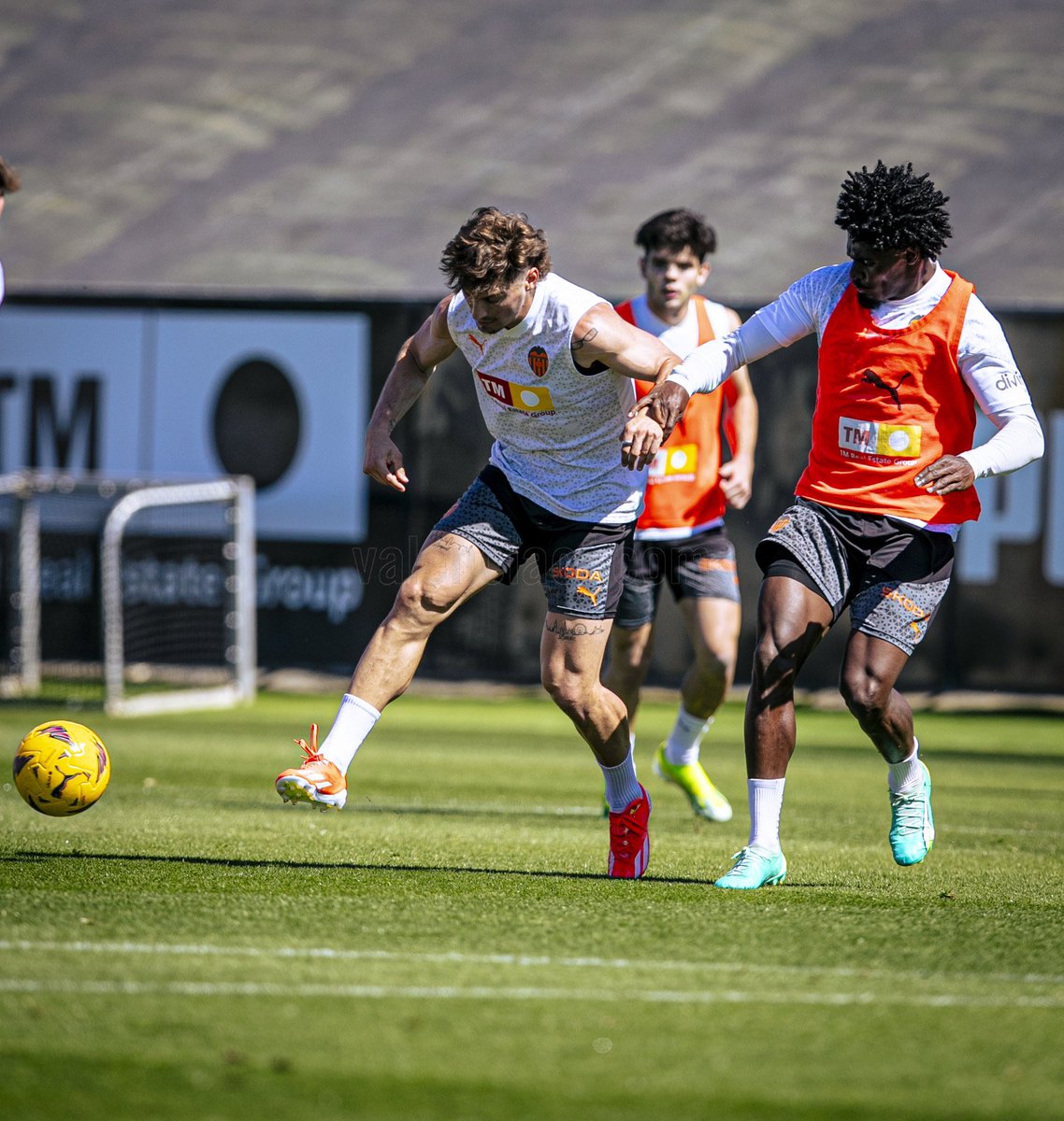 Amb tot, equip! ⚔️ #ADNVCF 🦇