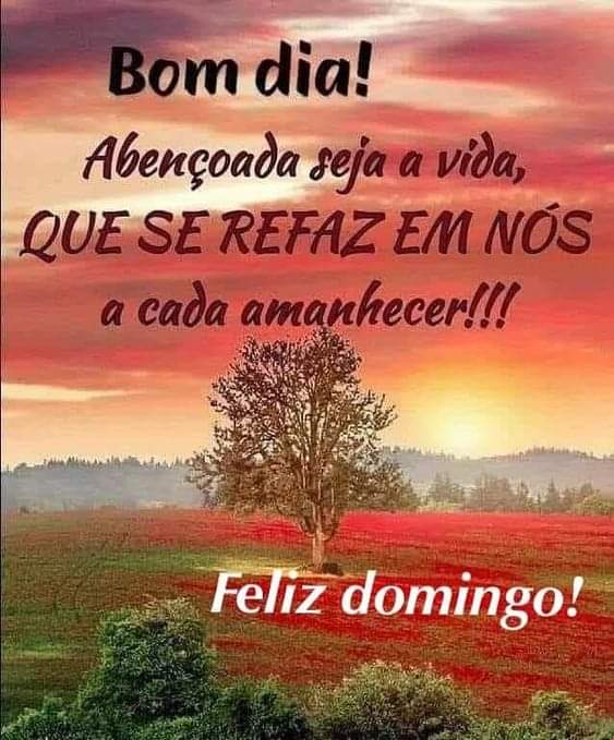 Bom dia a todos Companheir@s deste imenso Brasil 🌻🙏🏻🇧🇷🚩🚩 #LulaGovernoDoPovo Feliz domingo pra todos nós 🌟 🙏🏻