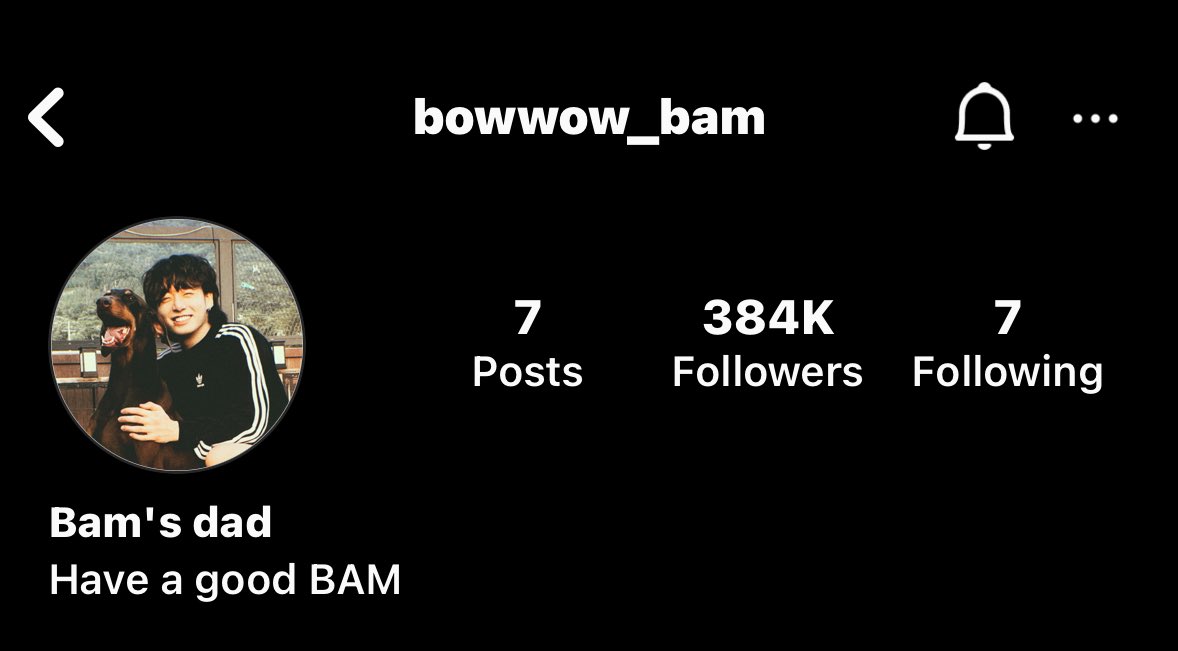 jungkook changed bam’s ig bio to “have a good BAM” 🥺