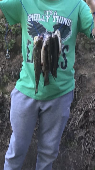 The boy caught another limit of Pennsylvania trout