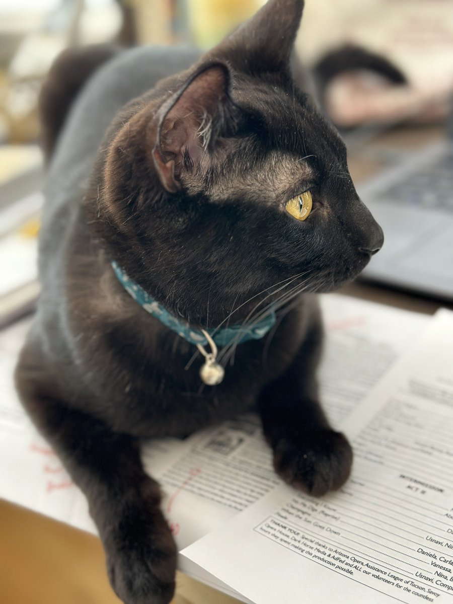 clmurphy4's tweet photo. My #editing assistant…
#catmama https://t.co/ewNPEYMGXt