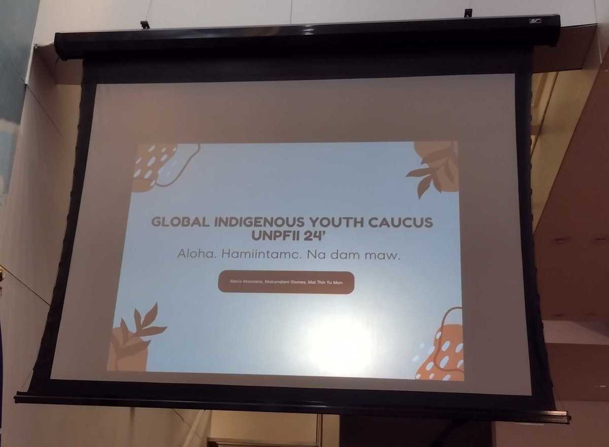 The Global Indigenous Youth Caucus preparing for the center stage at the 23rd session of the UN Permanent Forum on Indigenous Issues. And the amazing interpreters of our #DocipTeam are on the frontline! ❤️