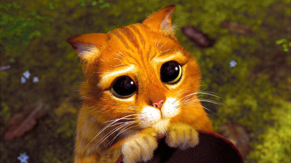 DiscussingFilm tweet media