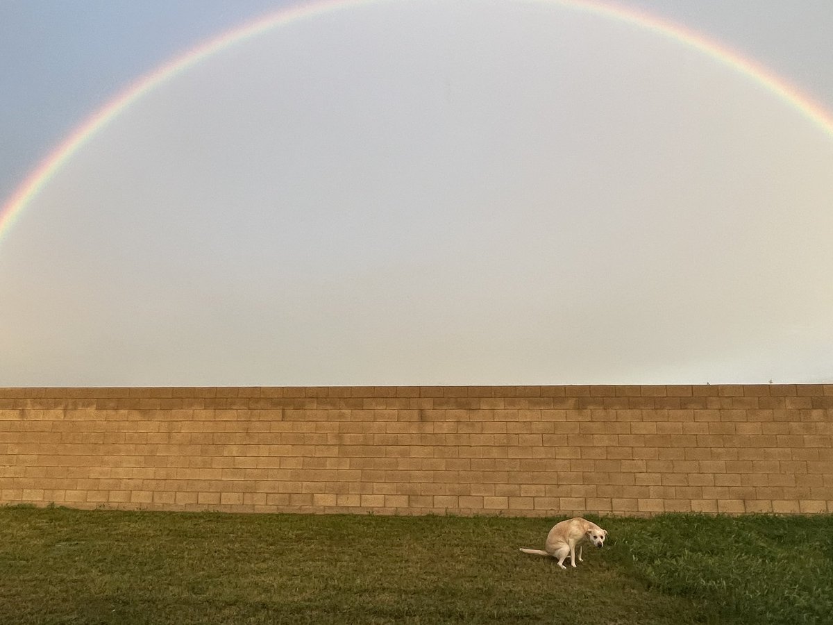 YOU NEVER KNOW WHATS AT THE END OF EVERY RAINBOW🌈 💩🤣🍀

#SomewhereovertheRainbow 
#laughteristhebestmedicine
#ilovemydog