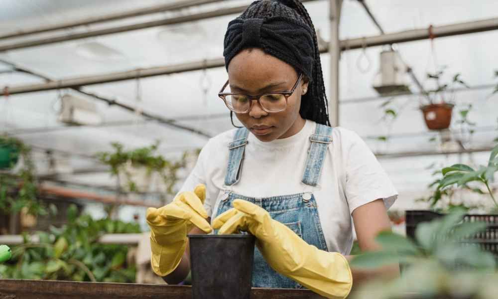 OFF ON FRIDAY tweet media