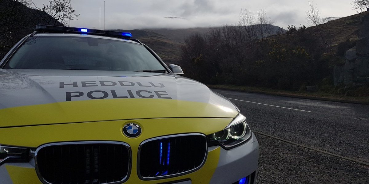 Wild rabbits killed in suspected shooting by poachers in Conwy north.wales/news/wild-rabb… #NorthWales #News