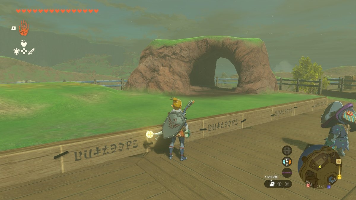 nanasuyl's tweet photo. #TearsOfTheKingdom #Zelda #NintendoSwitch https://t.co/kPpjz234AV