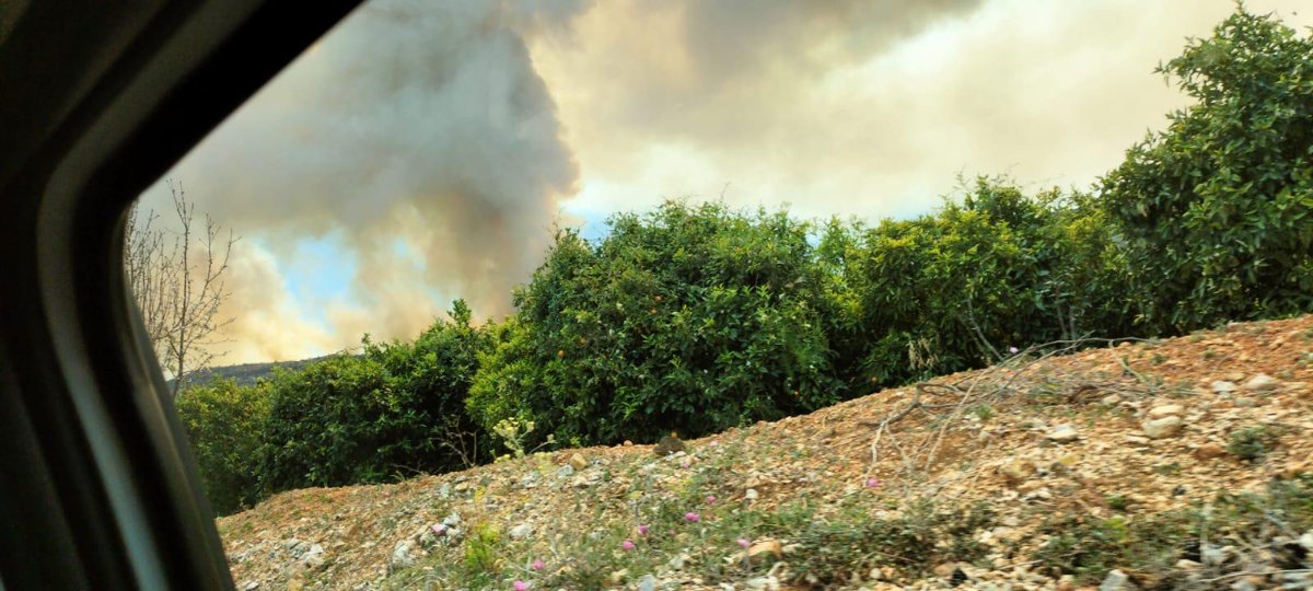 🔴MINUT A MINUT | #IFTàrbena 🚧 L'avanç de les flames obliga la Guàrdia Civil a tallar l'accés per la carretera CV-715 en direcció a la zona afectada per l'incendi des de Parcent al nord i des de Bolulla al sud.  Tota la informació en directe, ací ⬇️ apuntmedia.es/noticies/socie…