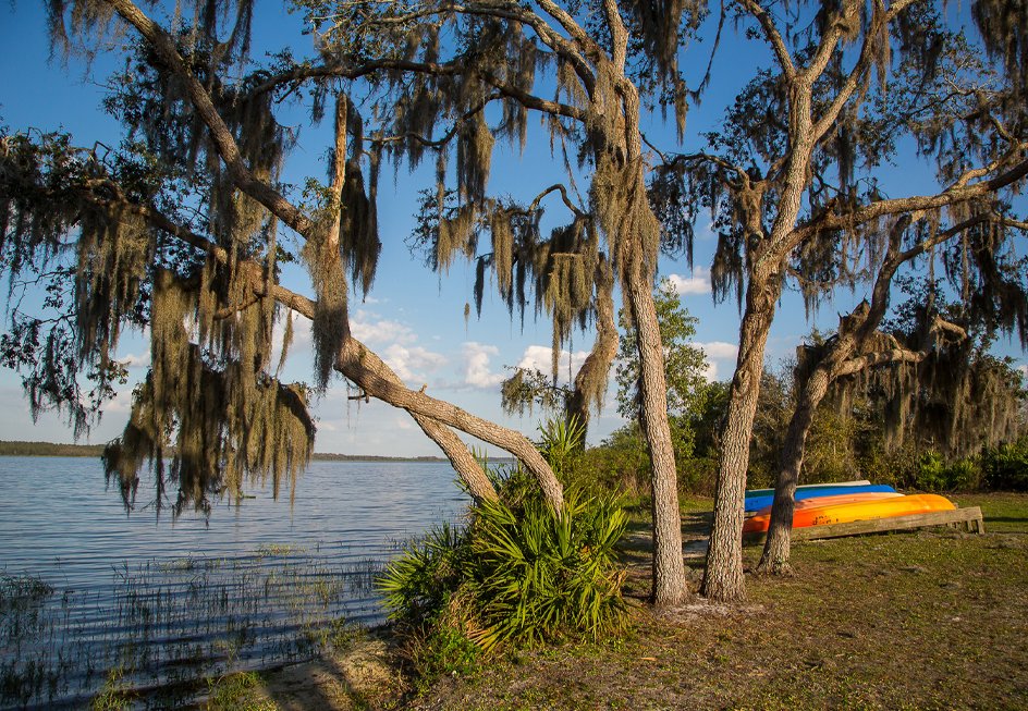 Explore Lake Manatee State Park, one of our state's 175 @FLStateParks! 🌲🚣‍♂️ Spend your days fishing from the docks or enjoying the scenic trails. With full-facility camping and a swimming beach to cool off, there's no better way to experience the authentic Florida vibe!