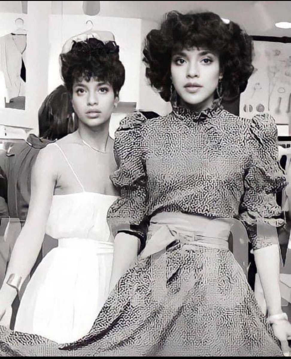 🇺🇸 Elegance, class and beauty. Traditional Black American women. 

Phylicia Rashad & Debbie Allen.