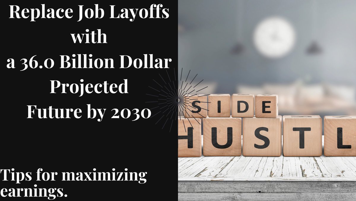 Are You Ready To Match Your Skills & Knowledge with a 36.0 Billion Dollar Industry Projected Future by 2030 .. This Side Hustle Has A Bright Future and Can Replace Job Layoffs well into the future
#sidehustle #twittertips #NegroAncestors #NegroUnity - …lsidehustlepassiveincome.blogspot.com