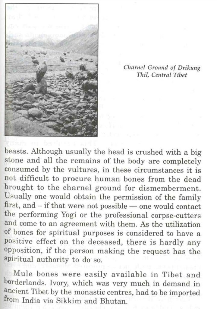 Bones in Tibetan Buddhism ‘Relics’ are remains of a holy person, the ...