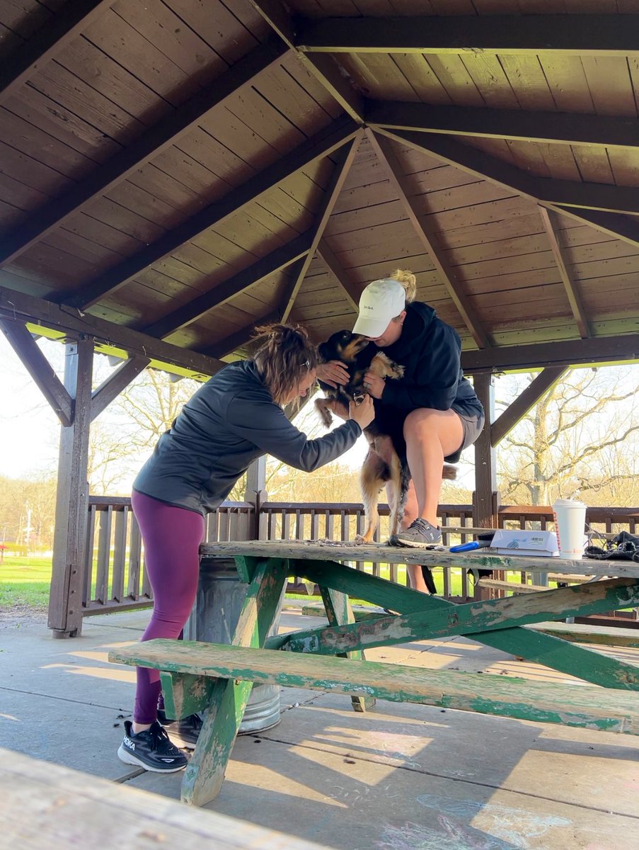 Katie Hedderman tweet media