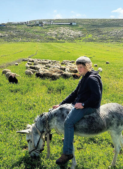 A 14 year old Jewish boy out with his sheep was literally hunted down by an Arab horde and bashed to death in the head and almost no news media is covering it. It's gross. He's been buried just now, and no one could care less, because religious Zionists who love their land are…