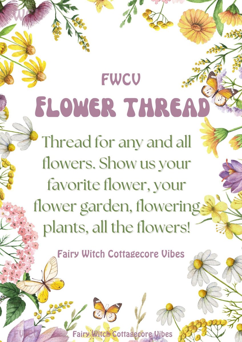 SarahDaisy_5's tweet photo. I love #flowers. My favourites are #daisies and #blossom.
#FlowerThread. 🌸🌼🌷💐🪻🌹🌷🌺🥀🌻 https://t.co/PaJkWX2Afx